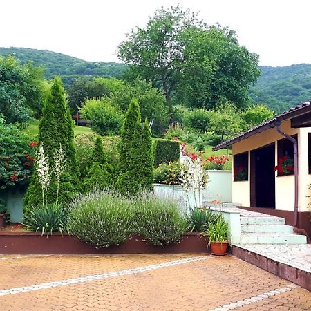 Silva House Hotel Deva Exterior foto