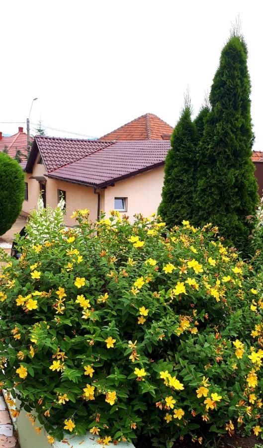Silva House Hotel Deva Exterior foto