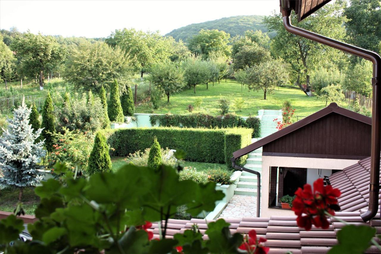 Silva House Hotel Deva Exterior foto